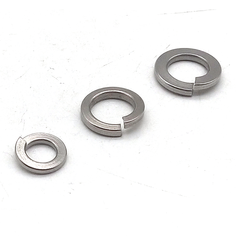 SS304 SS316 M6 M8 M12 M16 Stainless Steel Spring Washer Buy m20