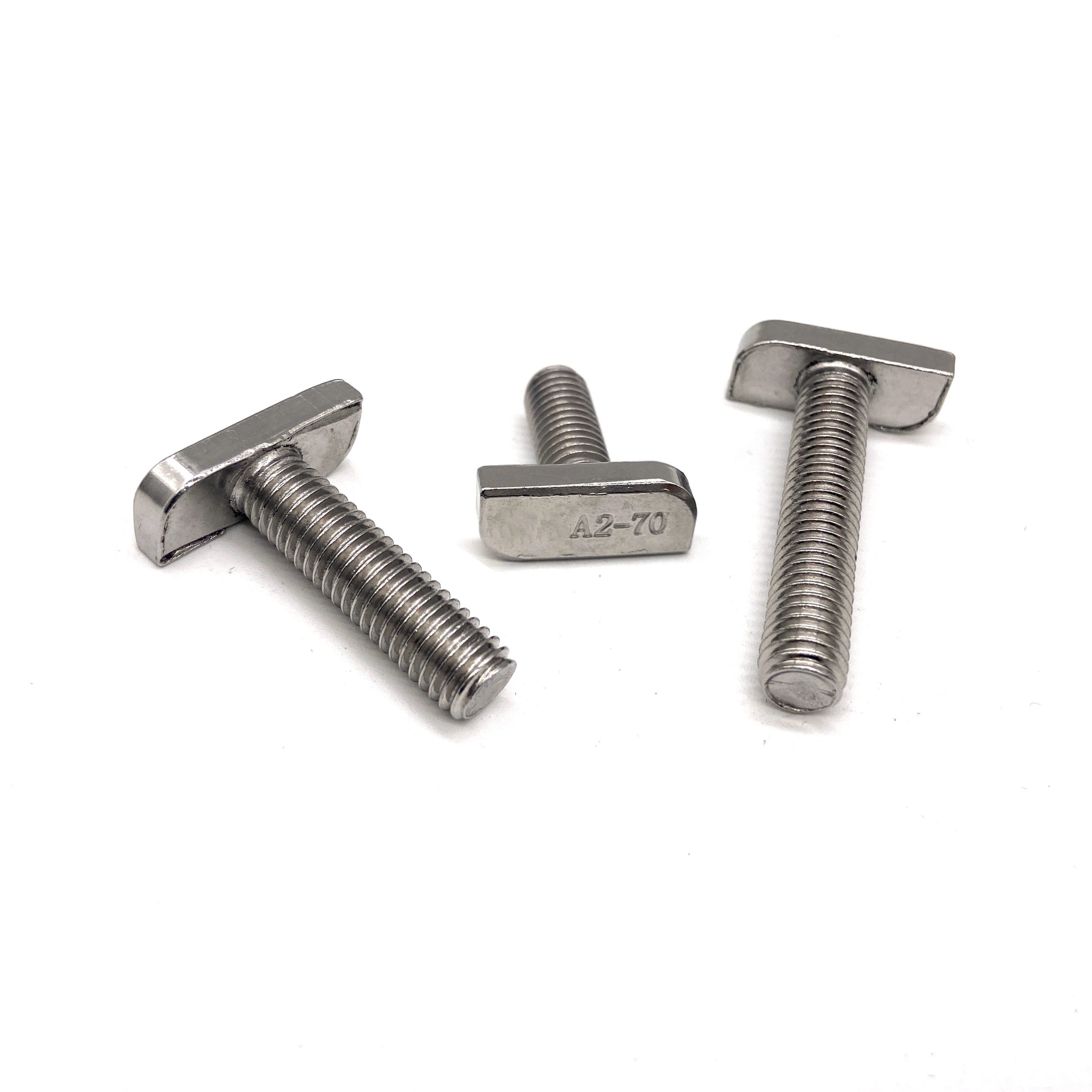 Customized Fastener Stainless Steel 304 316 A270 A470 T Head Type